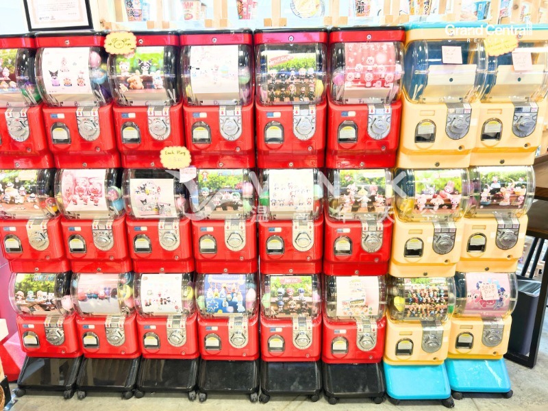 250807114506_2 3.jpg